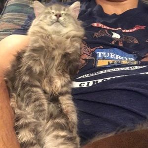 Meet your Posher, Ed